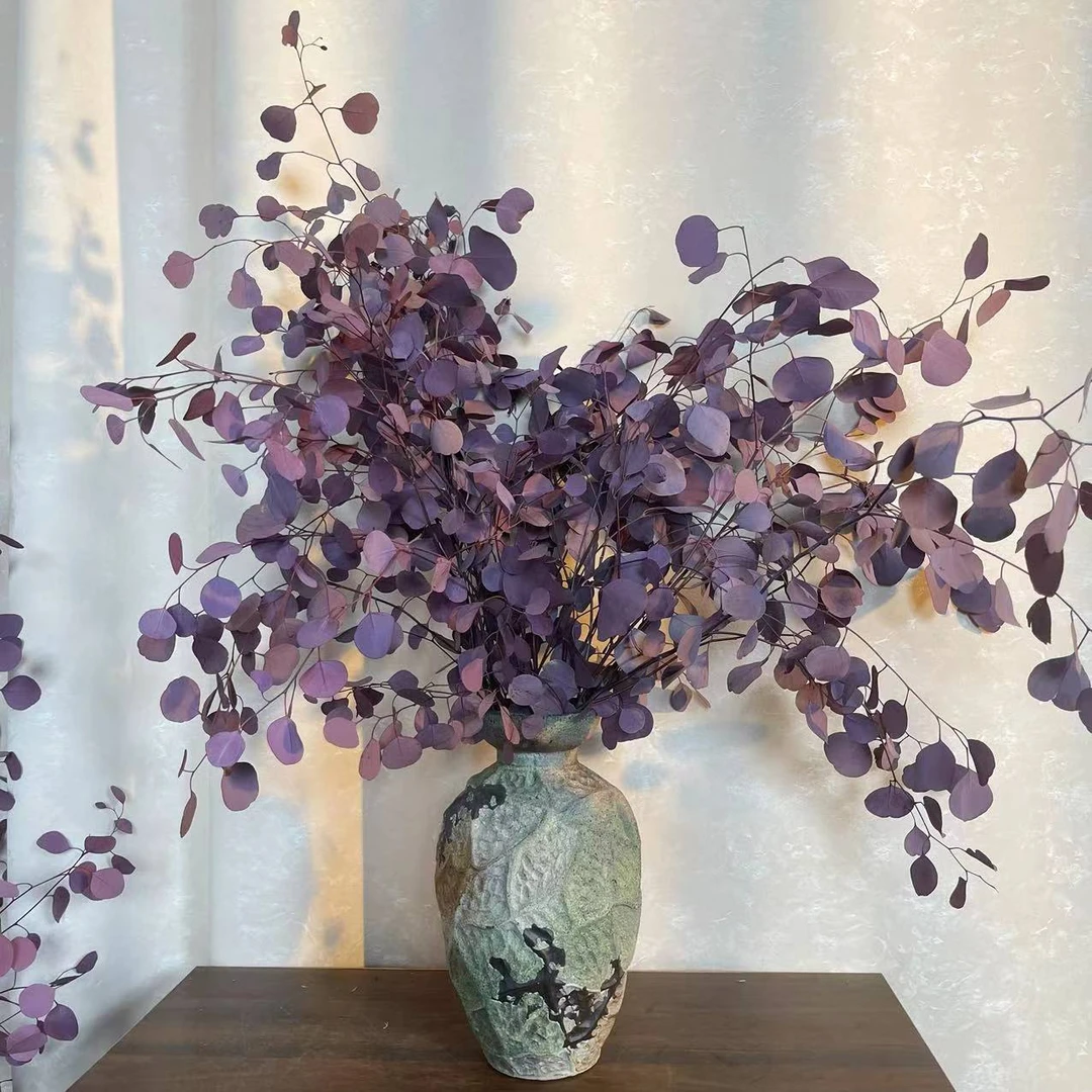 【桌面款】进口尤加利苹果叶家居桌面款小清新风格