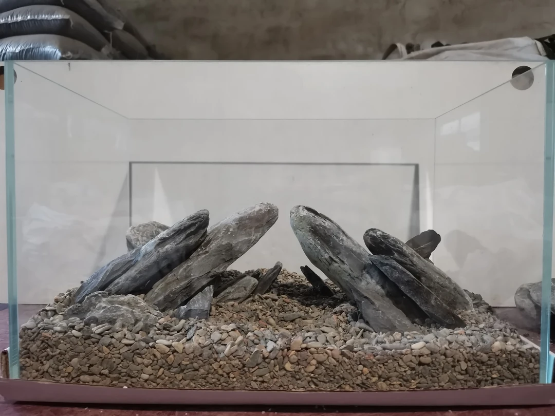 鱼缸造景一物一拍，直播专属链接（不带鱼缸）片岩黑金石青龙石造景