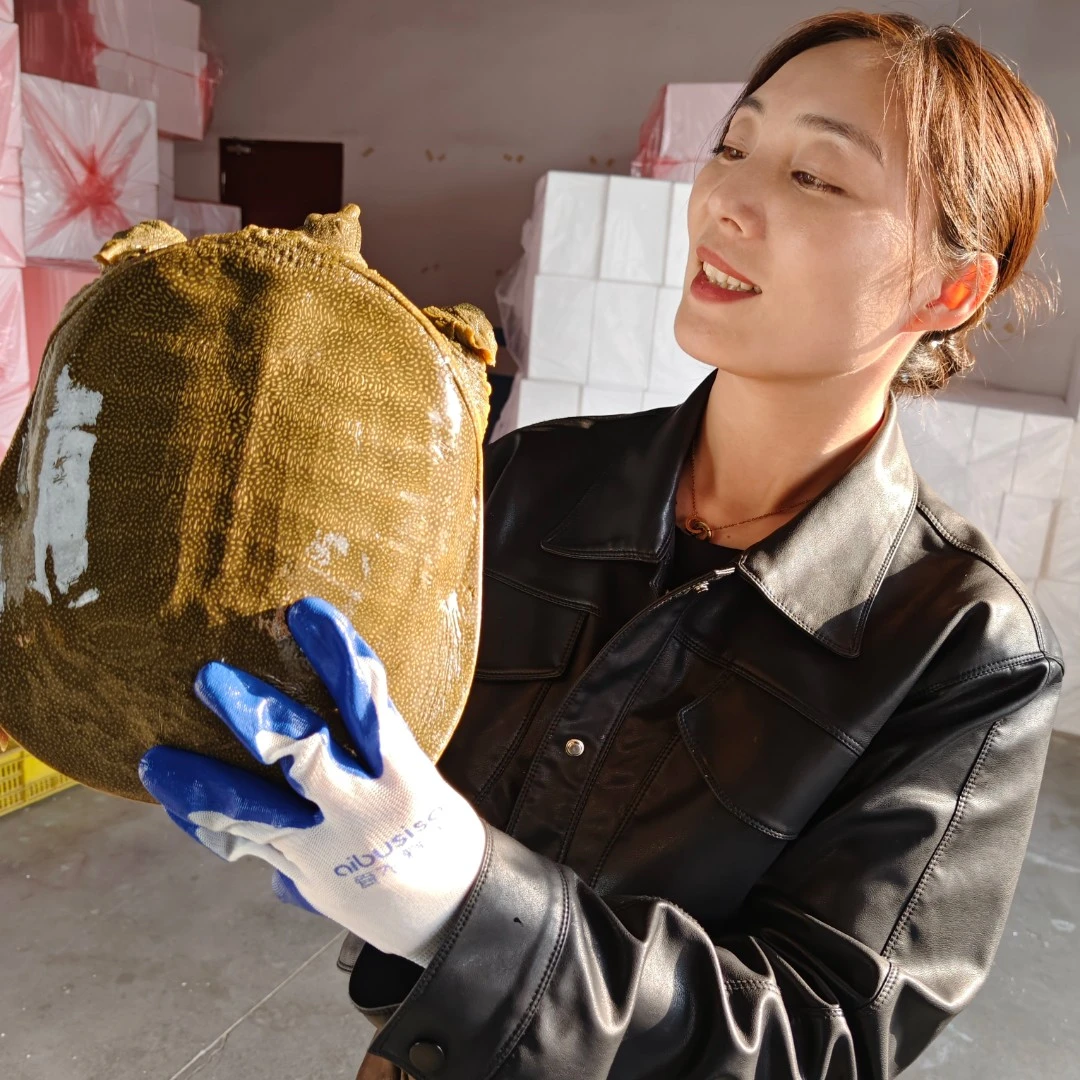 【直播间现挑现卖】鲜活生态甲鱼野外放养老鳖外塘水鱼活体青黄背