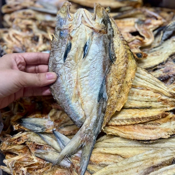 广东汕尾本港马友鱼干午鱼干，自然风干晒干