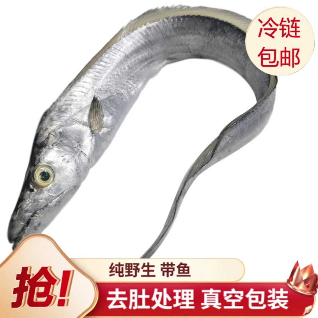 广东汕尾本港野生捕捞黄眼青章带鱼