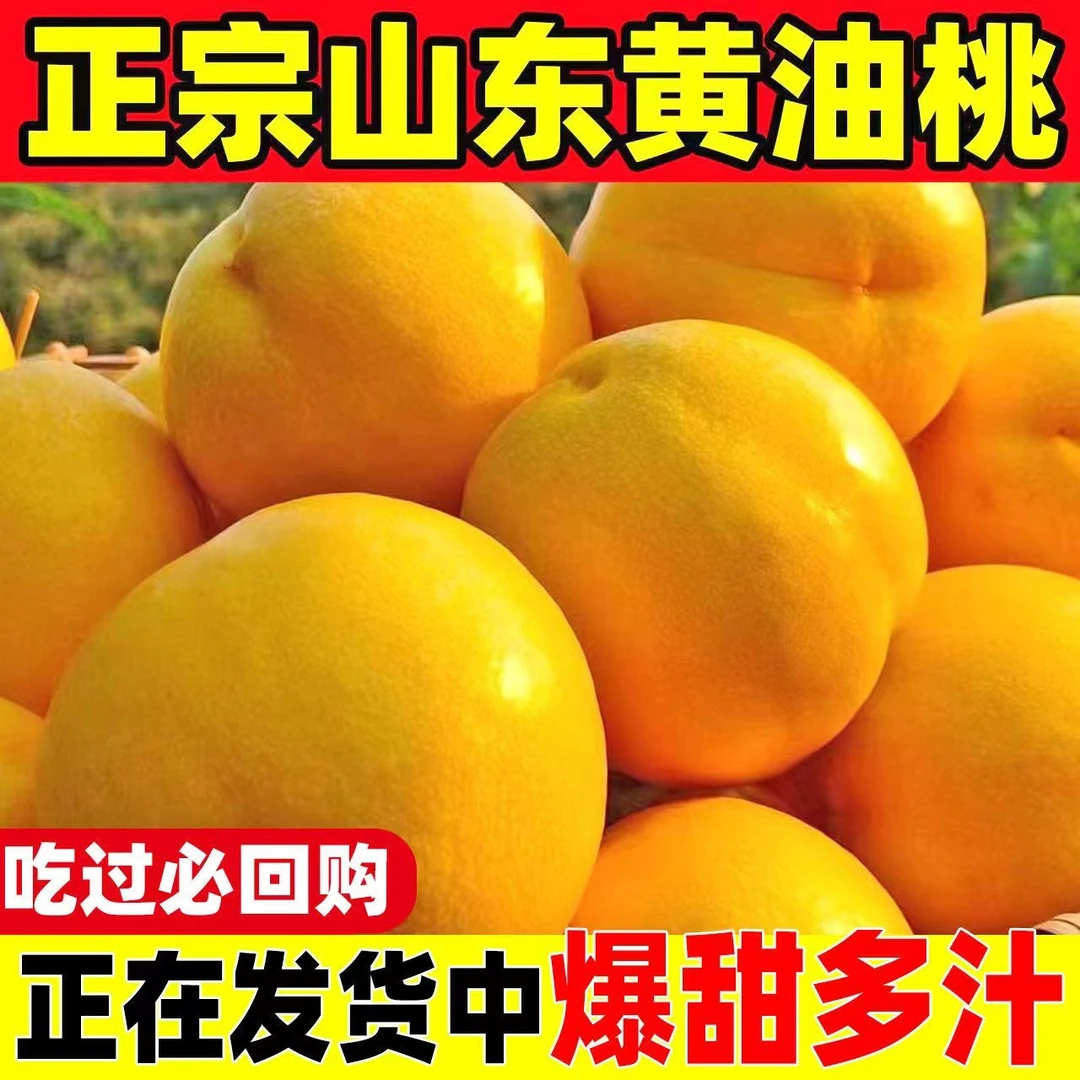 【严选优品】正宗蒙阴芒果油桃纯甜脆软爆汁大黄桃新鲜孕妇水蜜桃