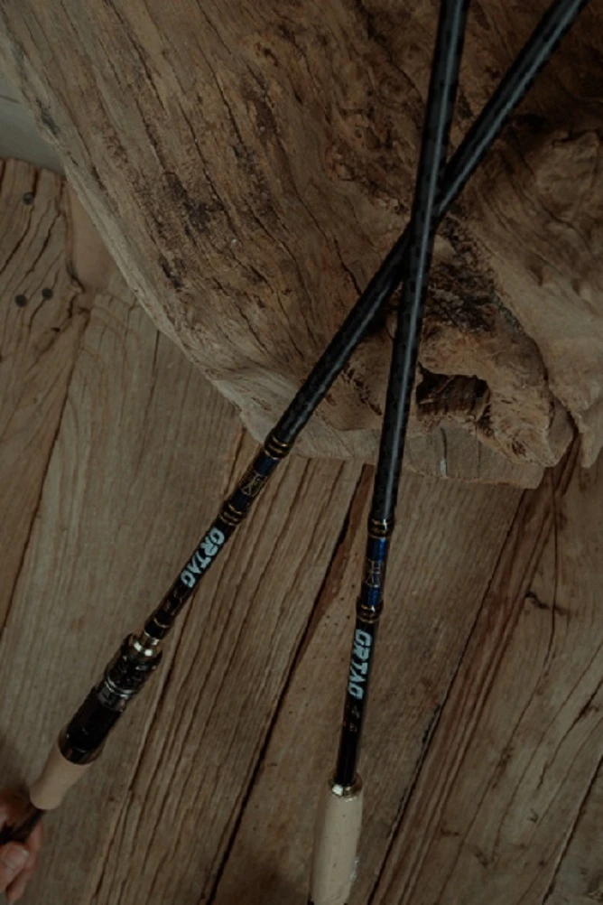 【贵人路亚】平民虫竿路亚竿/超快调设计/日本富士导环A环