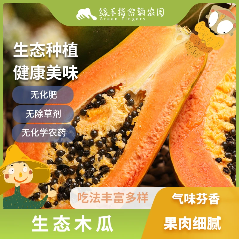 生态木瓜 2.25kg 绿手指份额农园