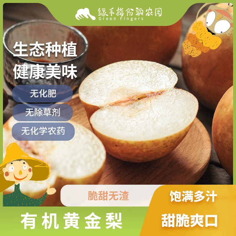 有机黄金梨 小中大果 送秋梨膏 绿手指有机农园