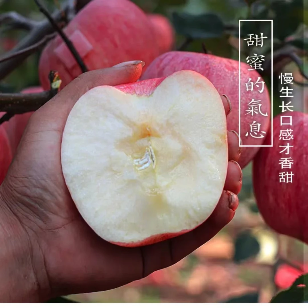 苹果大苹果脆口大苹果