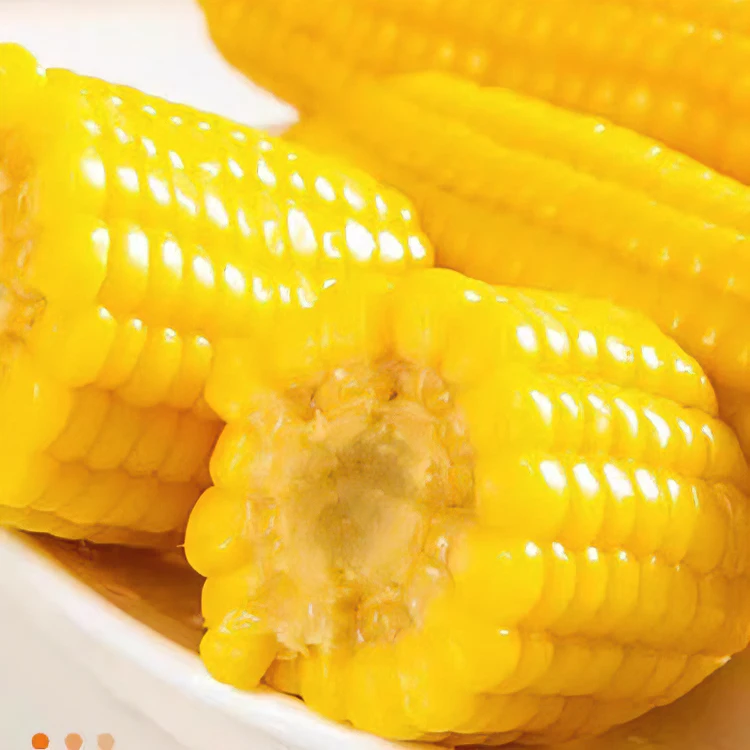 内蒙古甜糯玉米新鲜软粘黏香糯玉米真空包装即食锁鲜10穗好吃营养