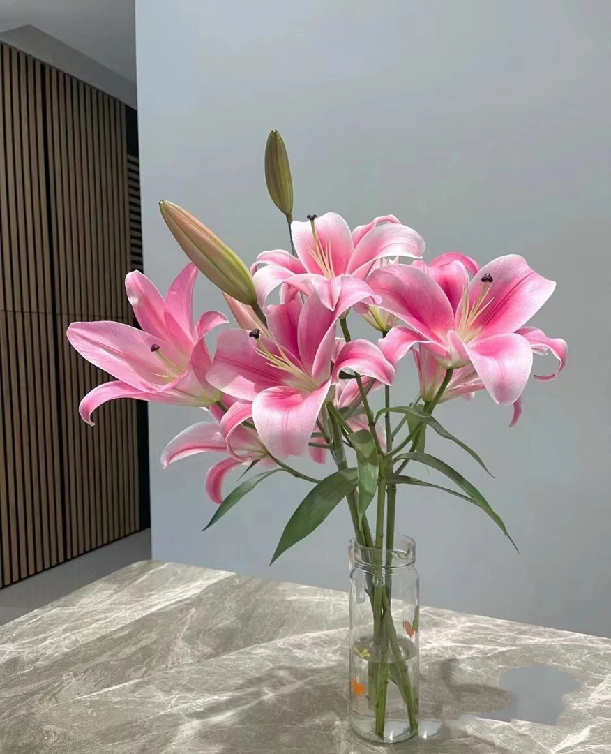三头普拉芬多百合4支（12朵）9.9批发花店摆地摊直发一手货源