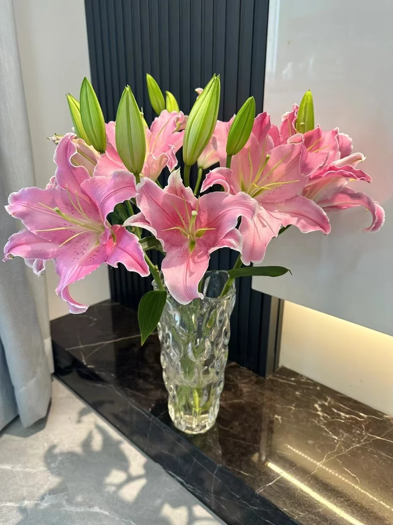 三头荷花百合4支（12朵）  云南基地鲜花  家养    水养