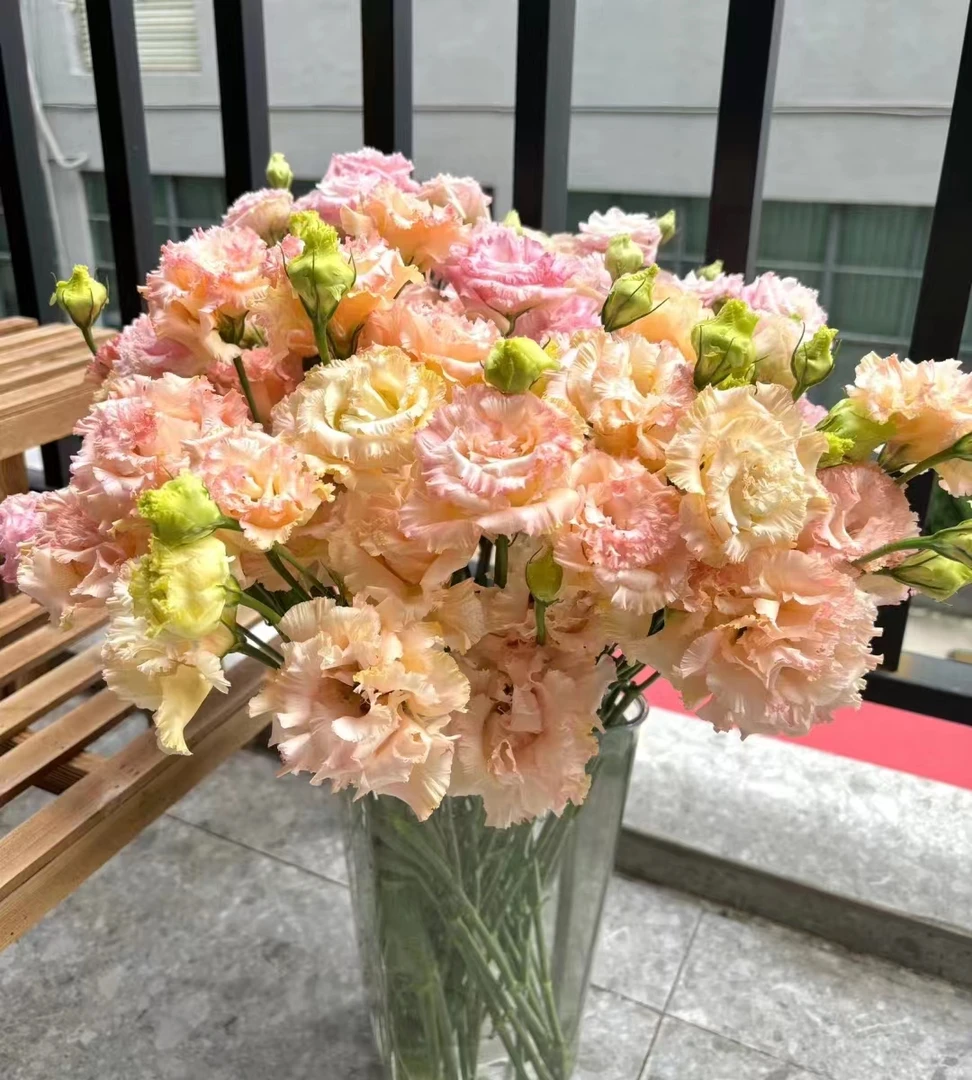 【源头一手价】三文鱼洋桔梗一大把    云南基地  鲜花   水养家养