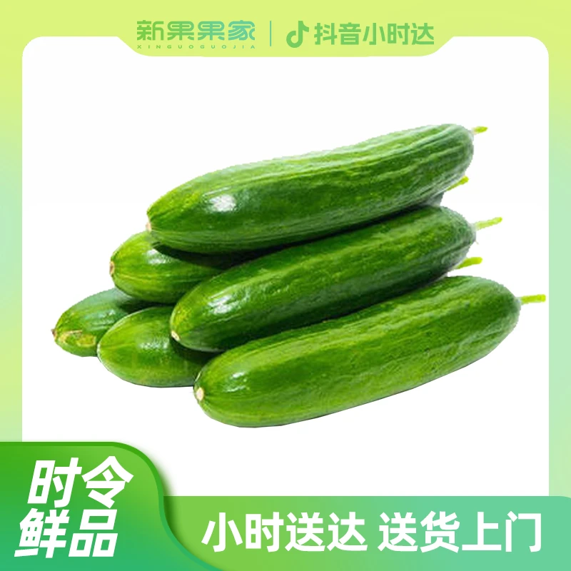 A级-小乳瓜（1000g)