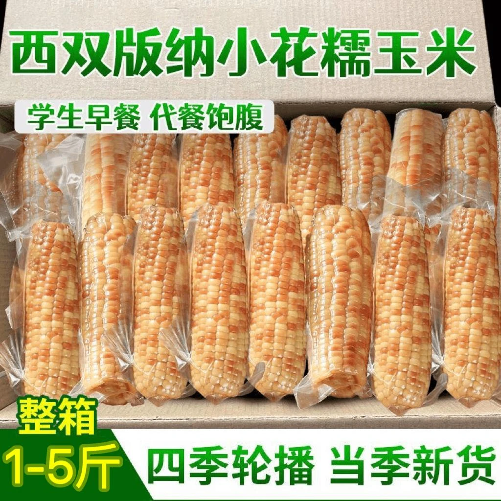 现货西双版纳香糯小玉米甜软小花糯包谷即食学生早餐代餐低脂粗粮