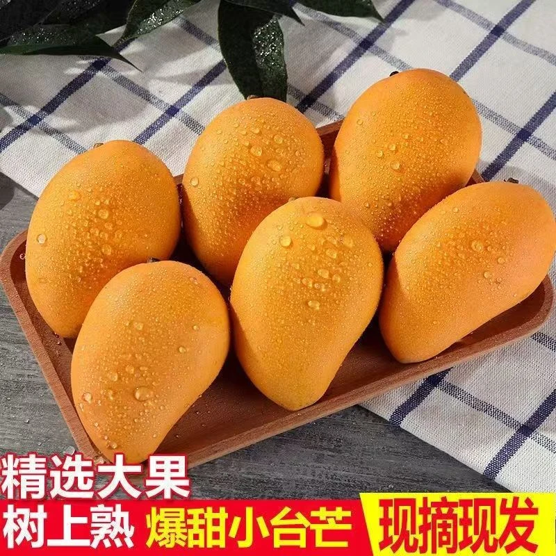 特价海南金煌芒新鲜水仙芒大果爆甜大芒果应季水果大青芒整箱发价