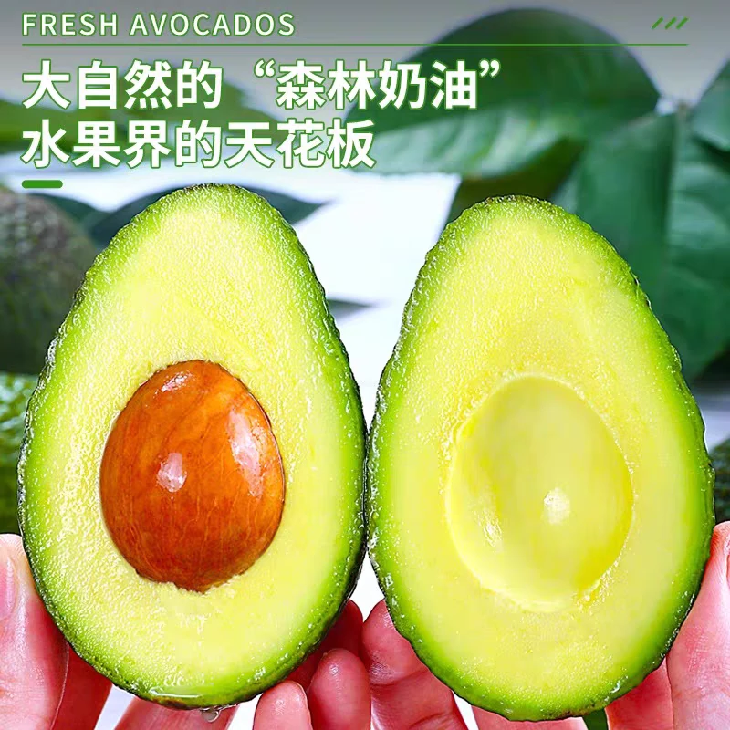 （巨无霸）云南国产牛油果哈斯牛油果新鲜水果高山种植