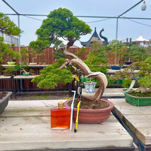 古法熬制石硫合剂防腐杀菌美白速干