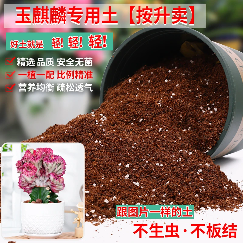 玉麒麟专用土多肉专用营养土养花通用型家用有机盆栽花土种花土壤
