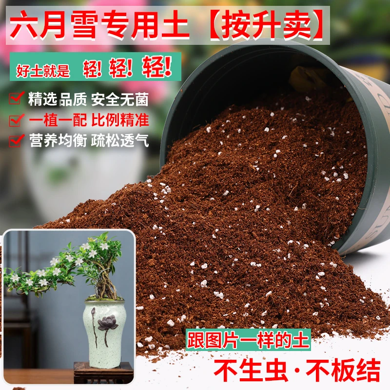 六月雪专用土盆栽有机肥料种花泥土专用营养土种植土养花土花卉土