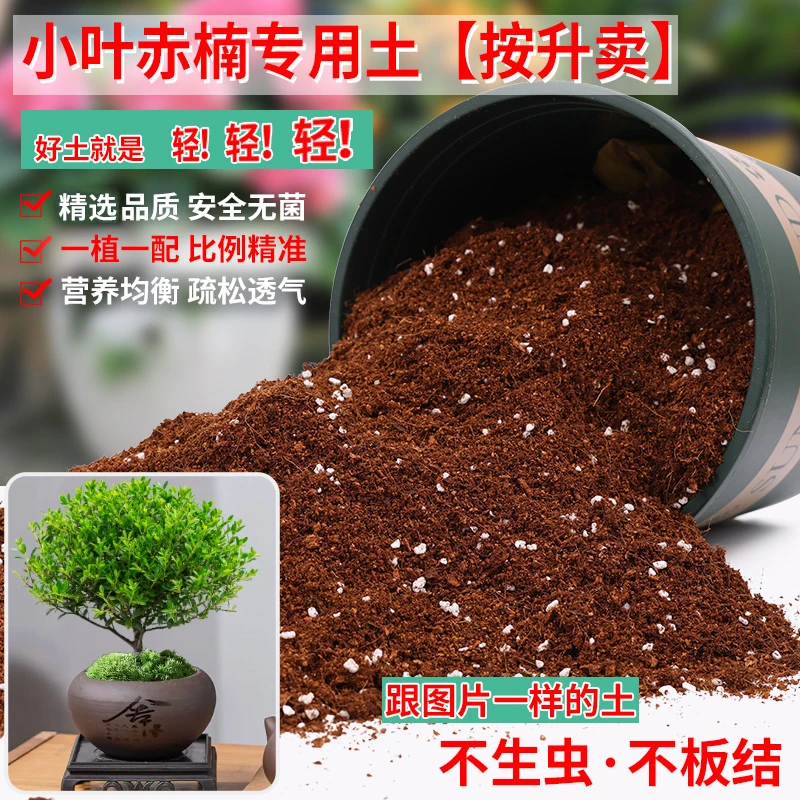 小叶赤楠专用土盆栽种植土酸性土沙性土专用营养土花肥种植有机土