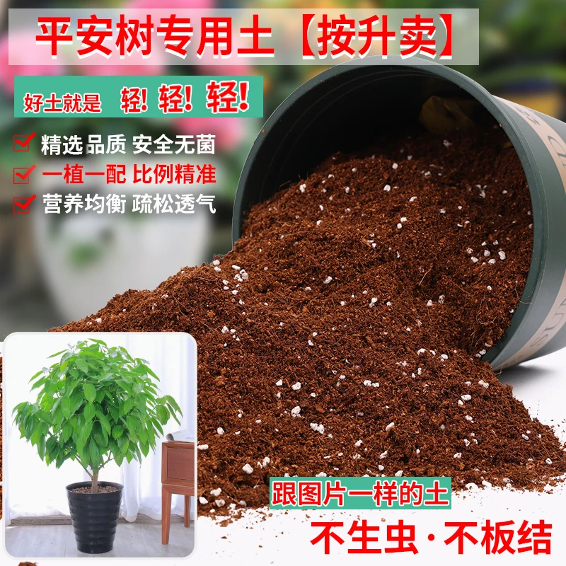 平安树专用土大型绿植专用营养土盆栽花卉通用弱酸性肉桂植料土壤