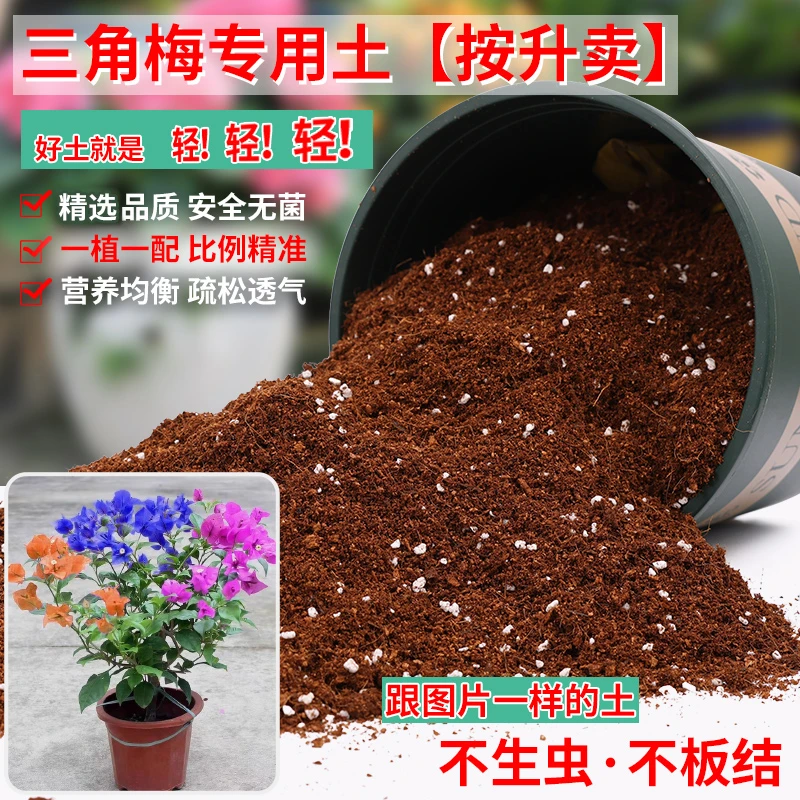 三角梅专用土营养土花土开花专用土盆栽土壤肥料泥土种植土培养土