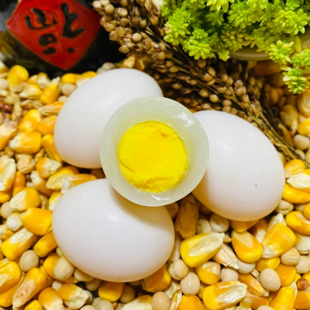 山东农家五谷杂粮鸽蛋