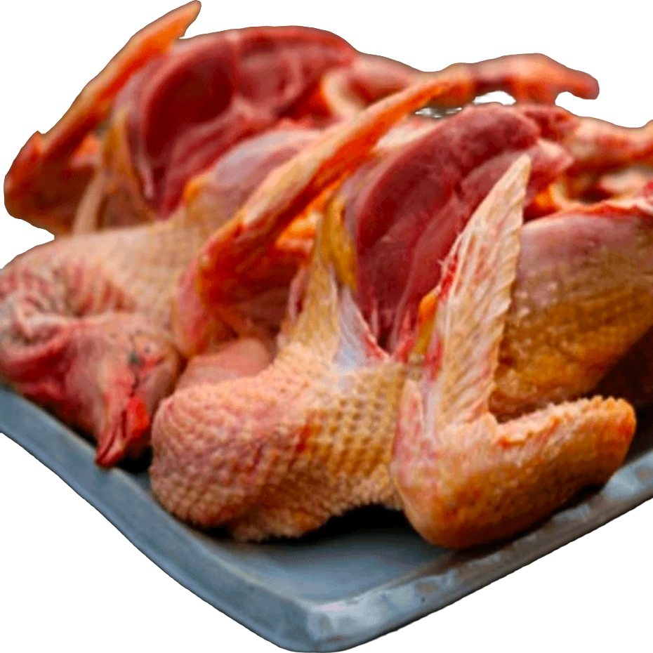 农家新鲜杂粮一只乳鸽一只老鸽子肉每天现宰