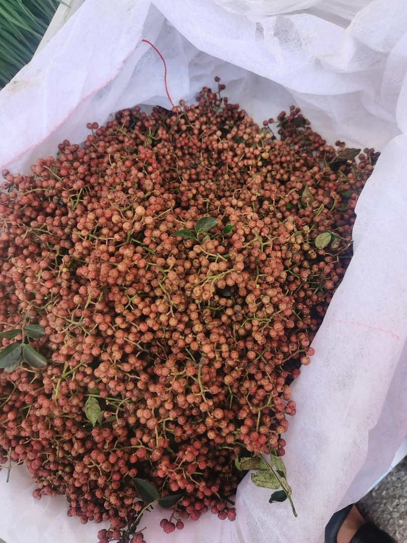 贵州高山鲜花椒（1～4斤装）又麻又香正宗自然生长成熟