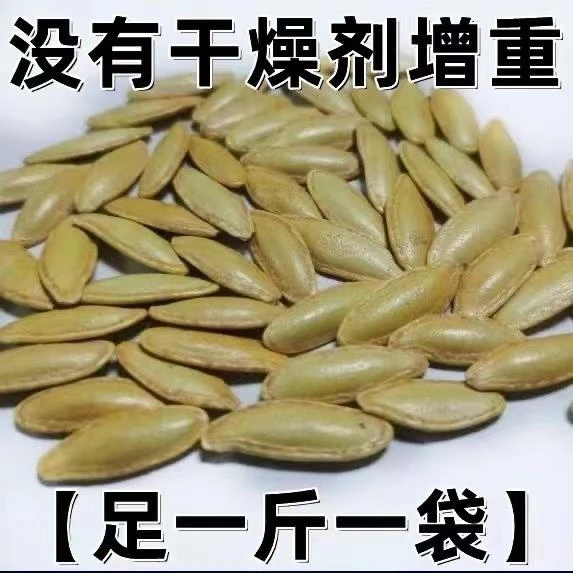 正宗大颗粒长美指甲南瓜籽椒盐美人甲原味休闲零食无干燥剂