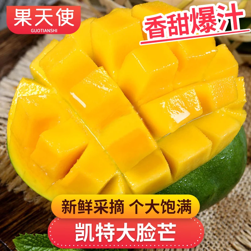 【果天使】攀枝花凯特4.5-8斤新鲜水果芒果个大饱满香甜整箱批发