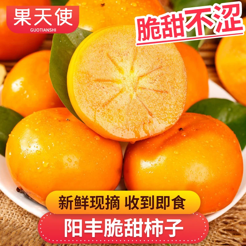 【果天使】阳丰甜脆柿子1.5-5斤脆甜不涩收到即食新鲜水果柿子好吃