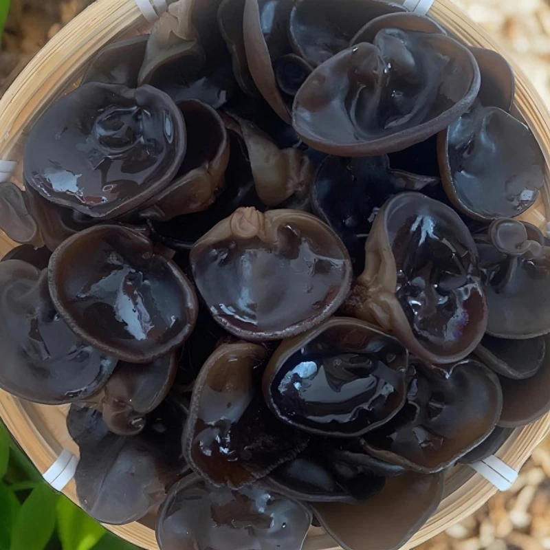 ［脆爽］东北头茬木耳无根肉厚无增重无添加