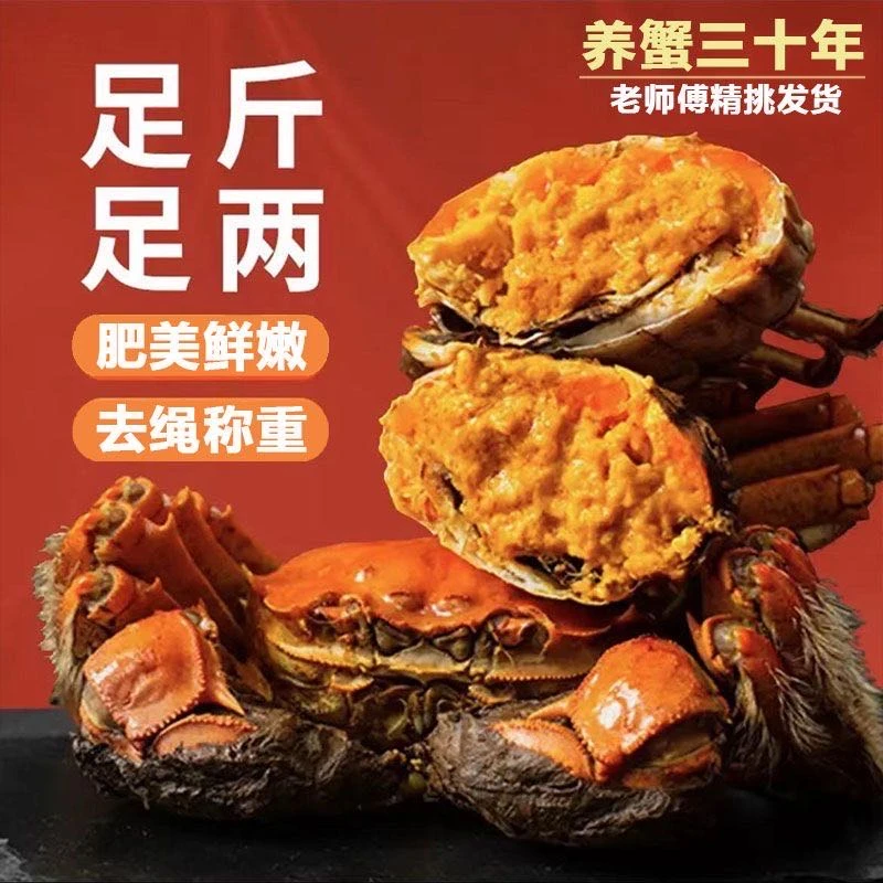 【现货现发】大闸蟹新鲜母蟹3.0两礼盒装，拍8只加2只