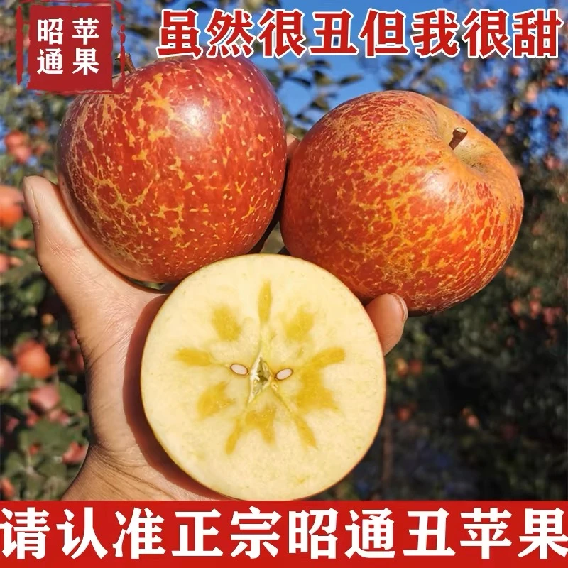 正宗冰糖心丑苹果应季水果果园新鲜现摘5斤装坏果包赔