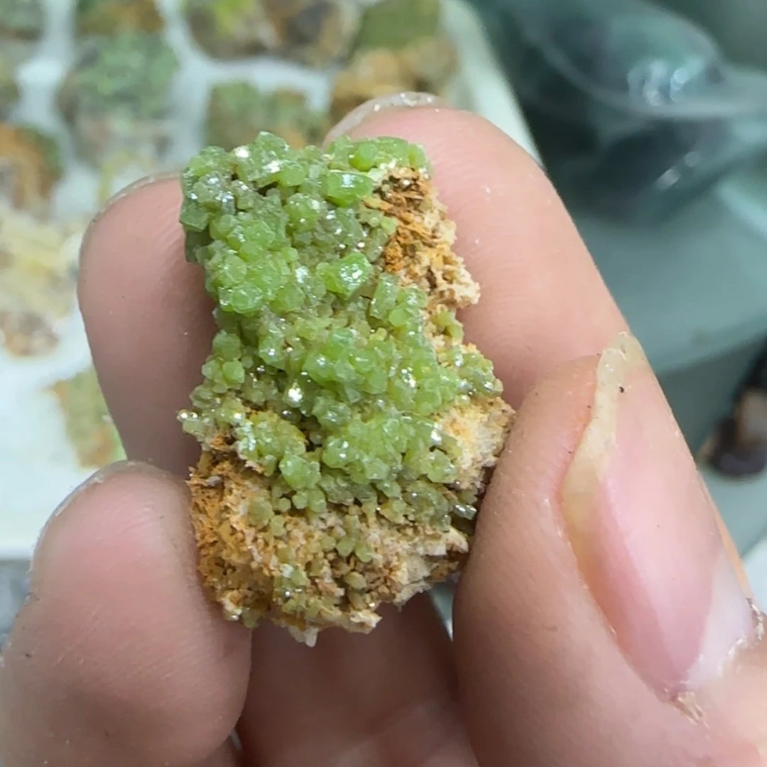 【闪购商品】月下严选矿物