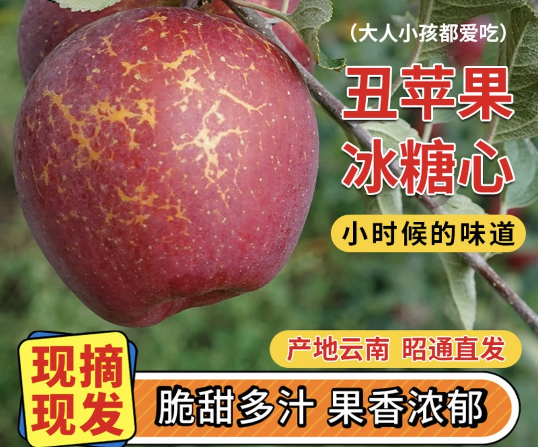 云南昭通现摘现发原生态高山脆甜丑苹果冰糖心红富士产地果园直发