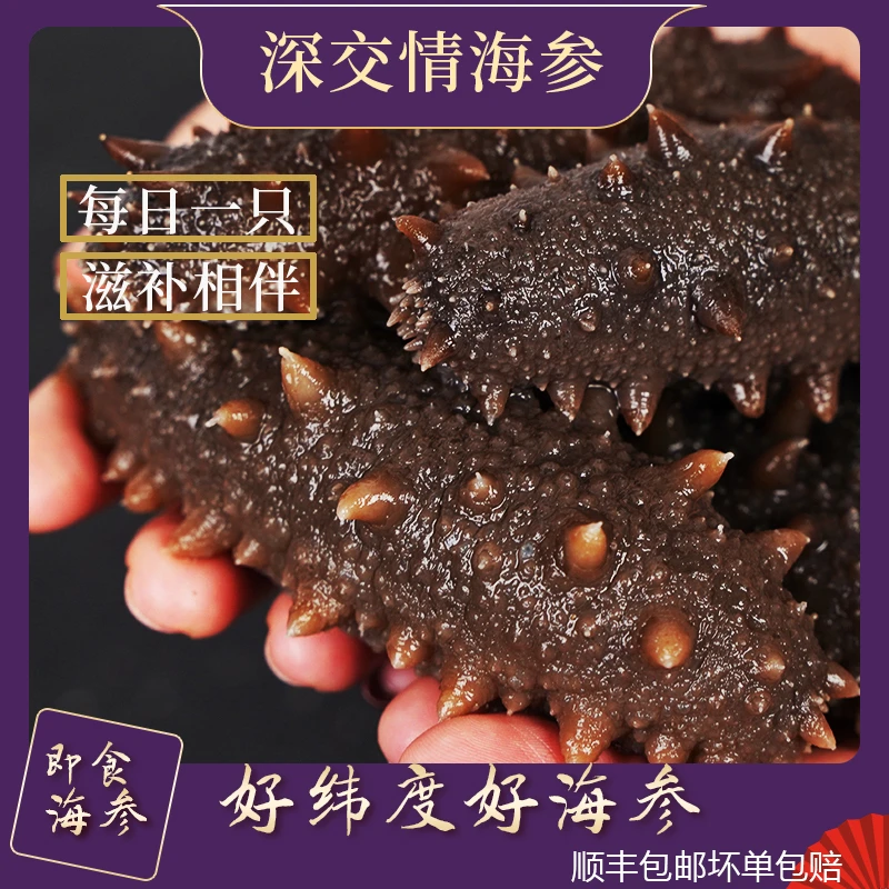 鲜食辽刺参6A级别(50-56根辽参)(单6-9cm) 顺丰发货