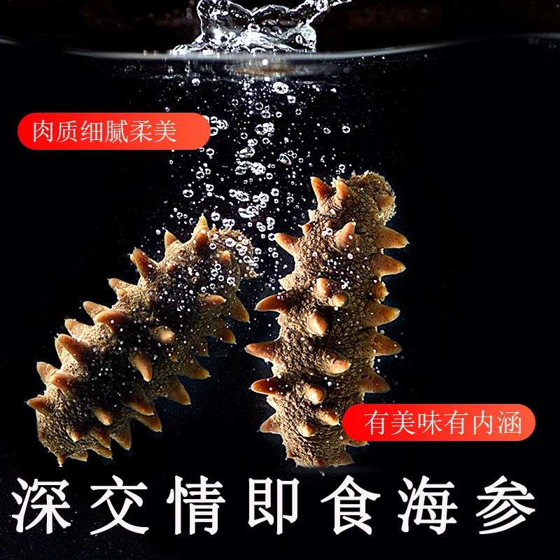 【深交情】深海底播春参营养7A辽刺参开袋即食（每根10-12cm左右）