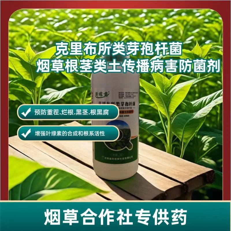 正品农用烟草专用烟草根茎类土传预防生防菌剂克里布所类芽孢杆菌