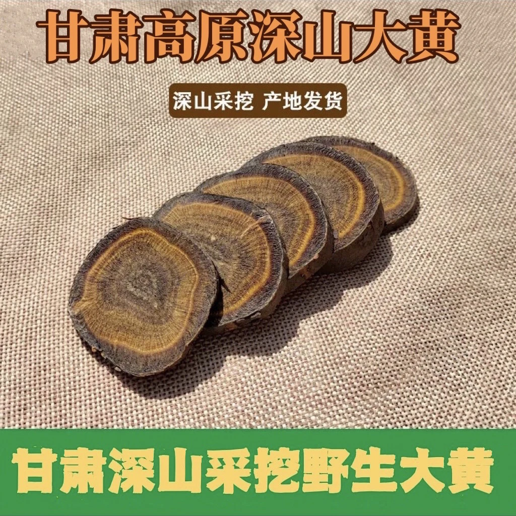 甘肃大黄生大黄新货正品甘肃源头好货深山采挖高品质农产品