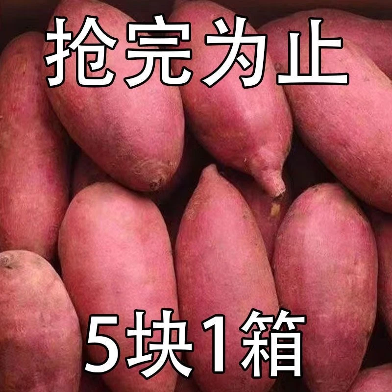 【抢一箱】超甜沙地红薯1-9斤新鲜红心黄心蜜薯地瓜板栗番薯蔬菜