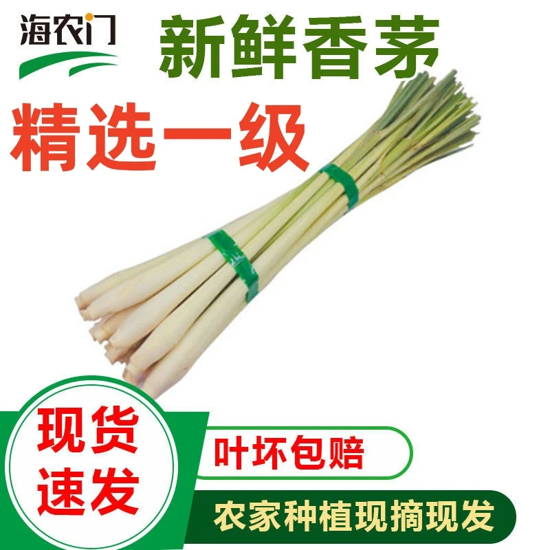不带叶新鲜香茅草南姜冬阴功汤料1-20斤包邮