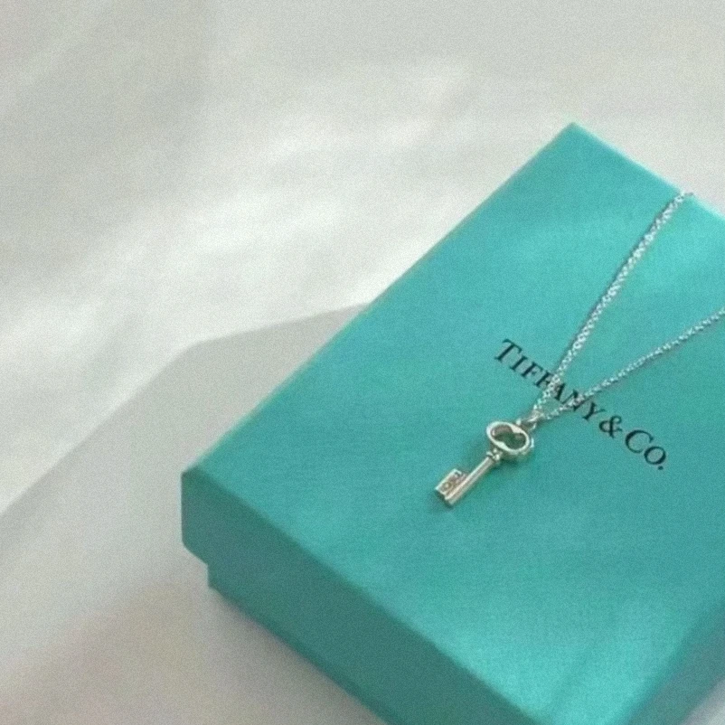 99新 Tiffany & Co./蒂芙尼 猪鼻子镂空钥匙 项链/女士项链/jess