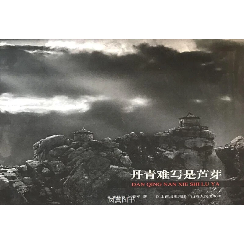 微瑕 丹青难写是芦芽