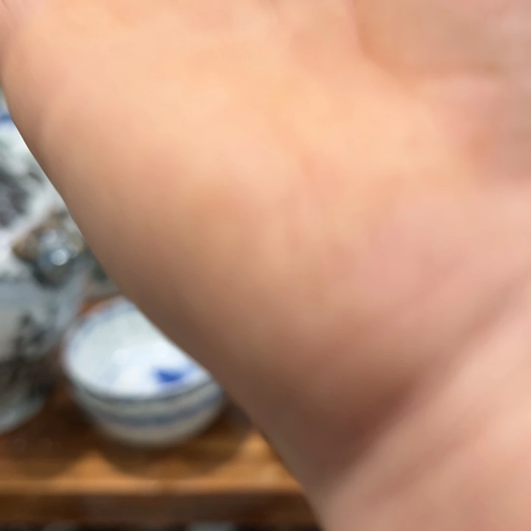 【闪购商品】密胺瓷片吉*月