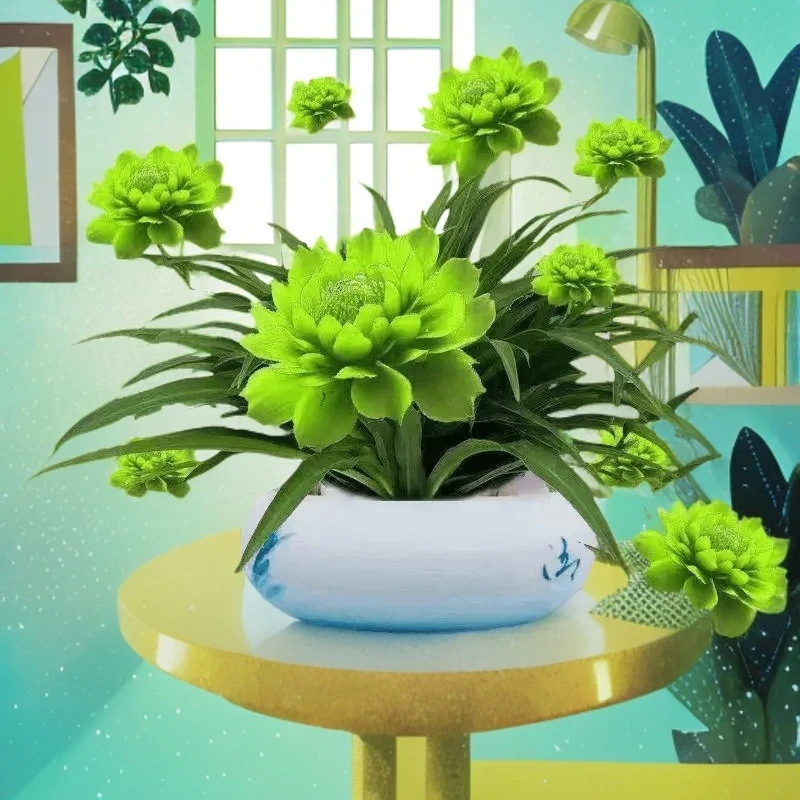 水培耐旱花卉大全超好看便宜耐旱四季开花水土养浓香型月光兰盆栽