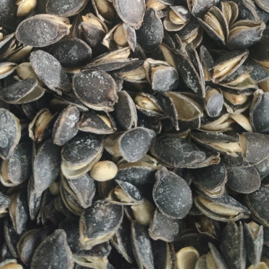 黑色开口南瓜籽子窝瓜子炒熟原味椒盐焗奶油味108g罐装零食品坚果