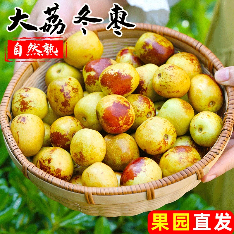 【顺丰包邮】陕西大荔冬枣新鲜好吃当季现摘脆甜冬枣美味香甜肉厚