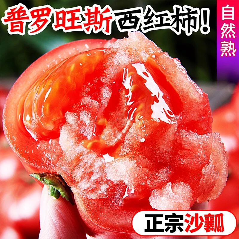 陕西普罗旺斯西红柿口感酸甜爽口好吃美味多汁自然种植产地采摘