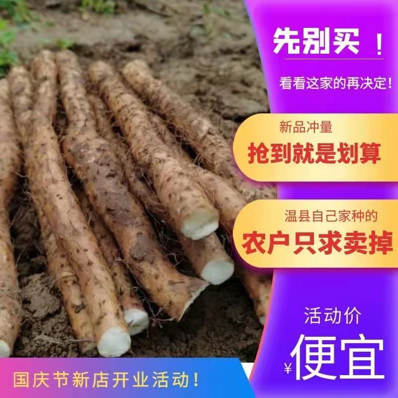温县发货山药铁棍特价河南焦作铁棍山药正宗温县垆土怀山药3斤5斤