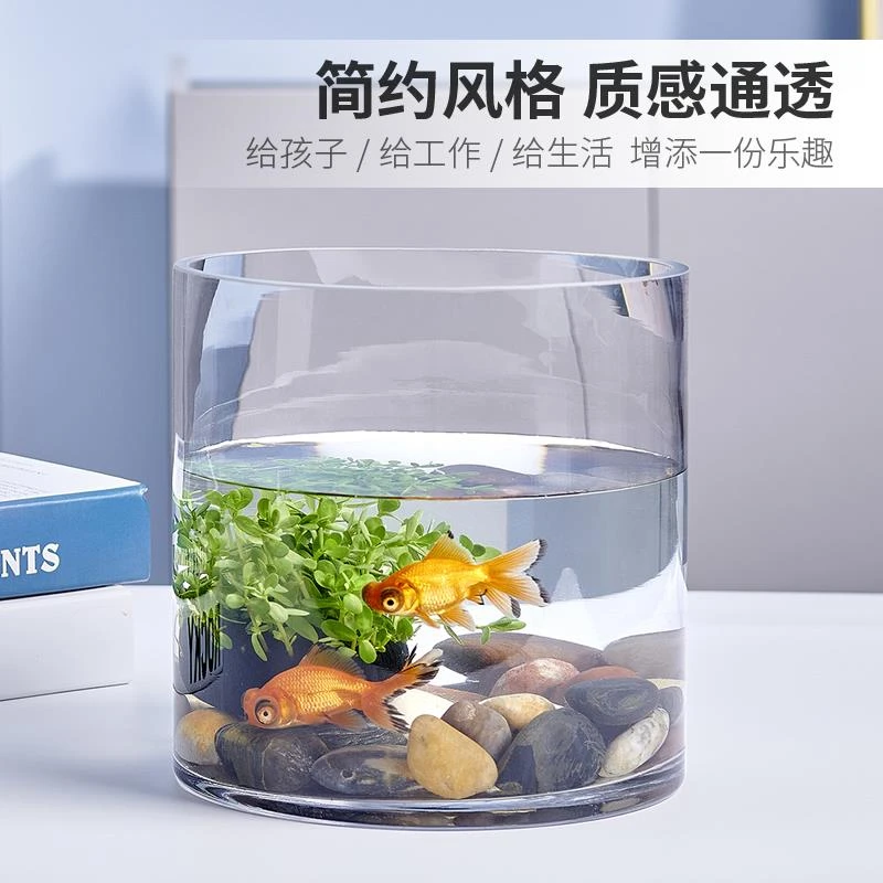 金鱼缸玻璃水族箱小型生态圆形圆柱大号乌龟缸造景培装办公室鱼缸